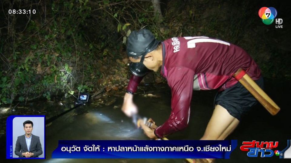 อนุวัตจัดให้ : หาปลาหน้าแล้งทางภาคเหนือ จ.เชียงใหม่