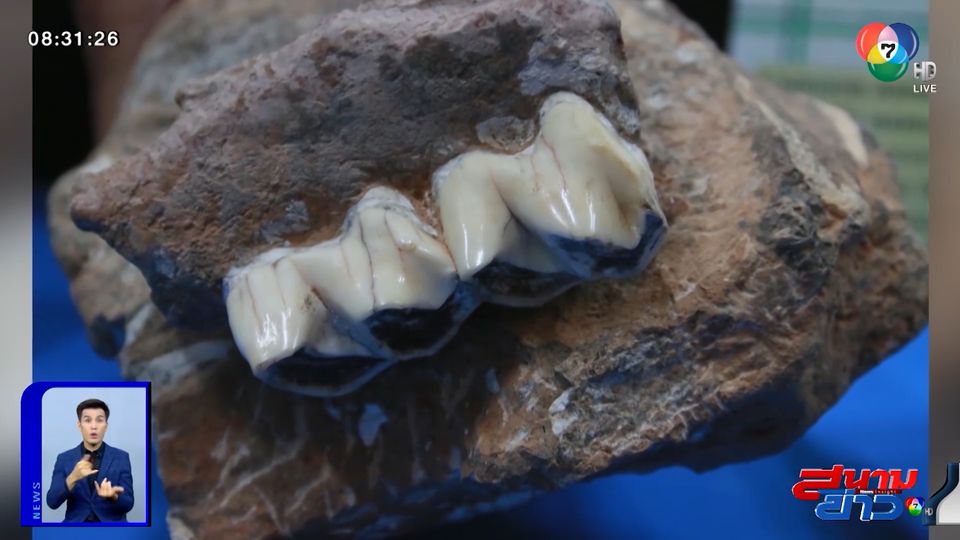 อนุวัตจัดให้ : สำรวจถ้ำพบซากไฮยีนา อายุ 2 แสนปี จ.กระบี่