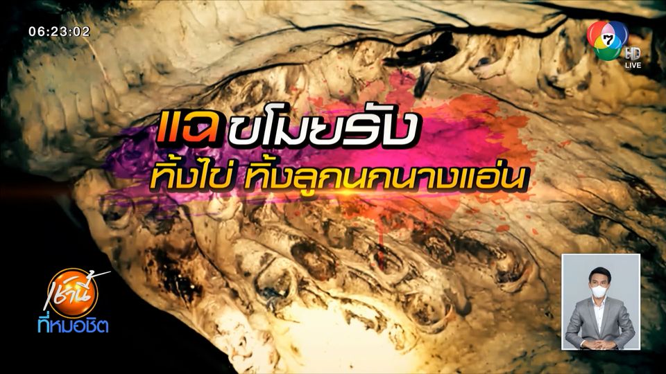 Green Report : แฉขโมยรัง ทิ้งไข่ ทิ้งลูกนกนางแอ่น