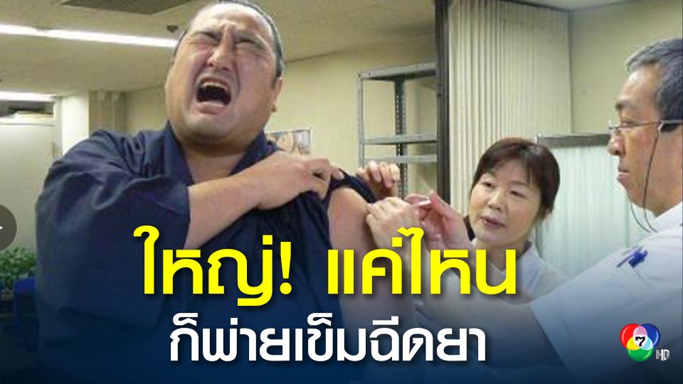 ชาวญี่ปุ่นแห่แชร์ภาพสร้างเสียงหัวเราะปนเอ็นดู  กับบรรดาซูโม่ ขวัญใจ ที่ร่างกายจะล่ำบึกแค่ไหน แต่ก็พ่ายเข็มฉีดยา