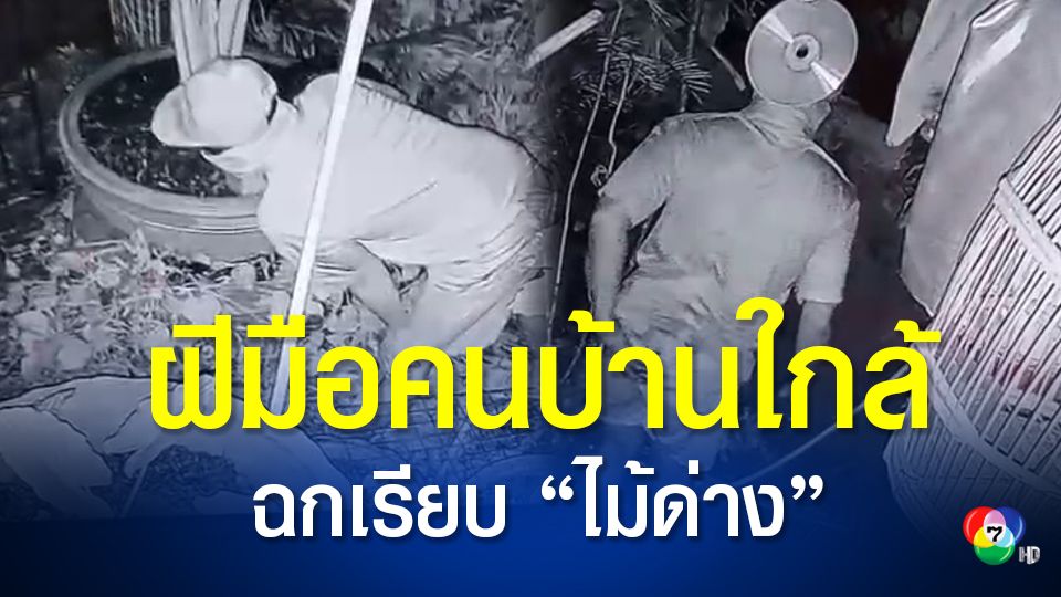 รวบแล้วโจรขโมยไม้ด่าง หลายสิบต้น มูลค่านับแสน ที่แท้ฝีมือเพื่อนบ้าน