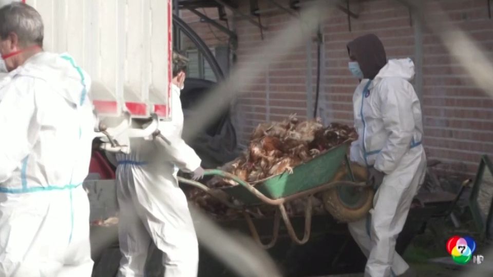 จีน พบการแพร่ระบาดไข้หวัดนก H5N1 ครั้งแรกของปี