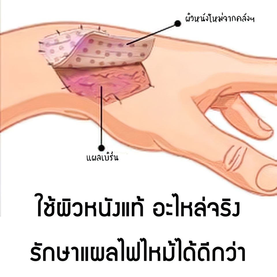 62edc22a0c5dc3.90680524.jpg