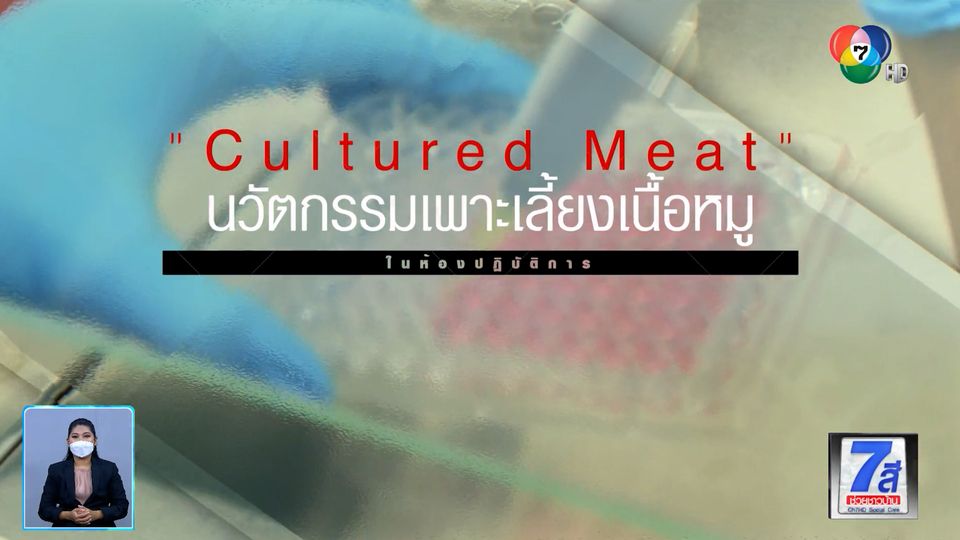 Green Report : Cultured Meat นวัตกรรมเพาะเลี้ยงเนื้อหมูในห้องปฏิบัติการ