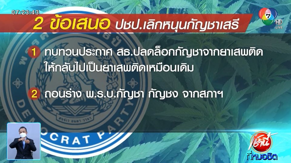 ข่าวปชป. หัก ภูมิใจไทย เลิกหนุน กัญชาเสรี - Vimarsana News