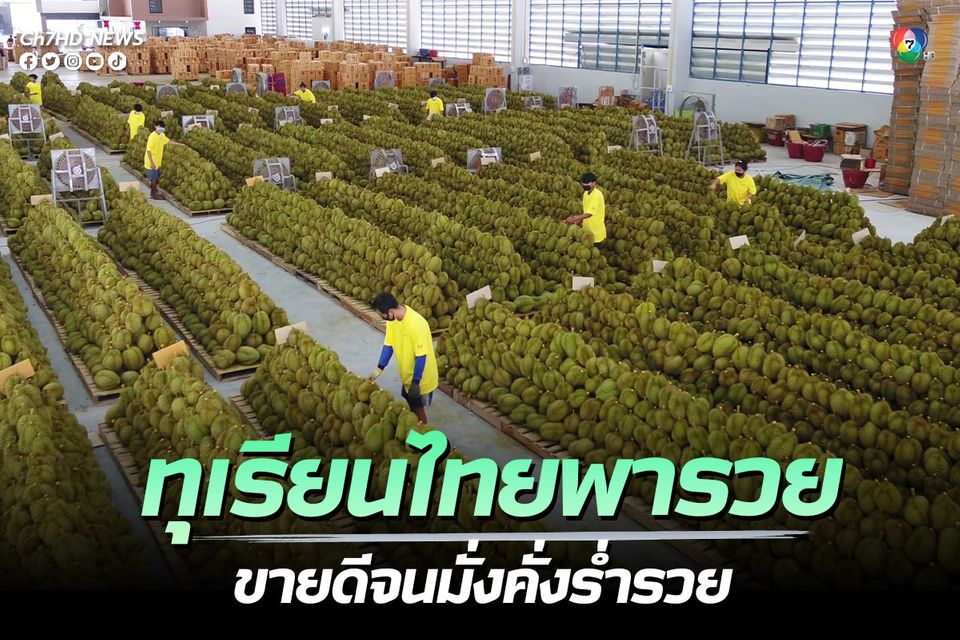 ทุเรียนไทย ช่วยให้นักธุรกิจวงการผลไม้ของจีน มั่งคั่งร่ำรวย