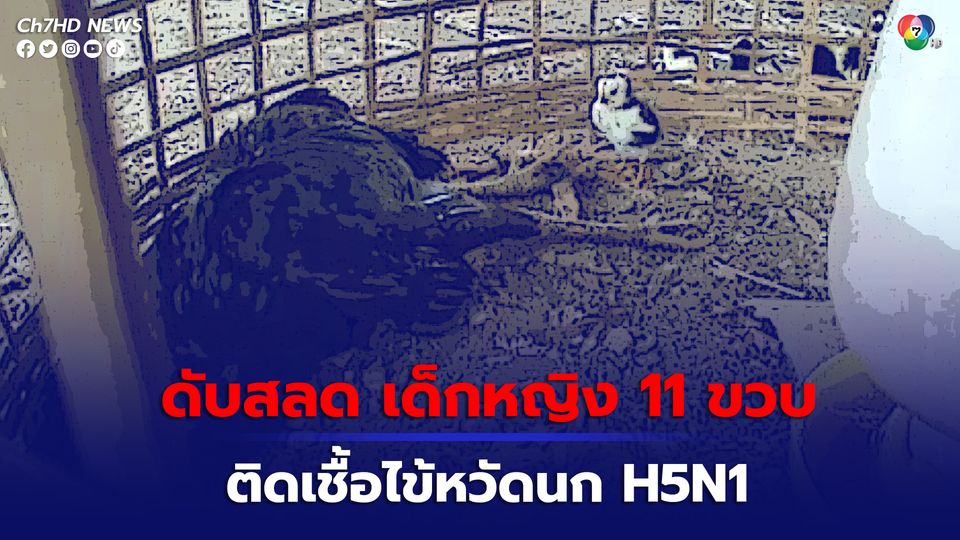 เด็กหญิงวัย 11 ขวบ ชาวกัมพูชา เสียชีวิต เนื่องจากติดเชื้อไข้หวัดนก H5N1 