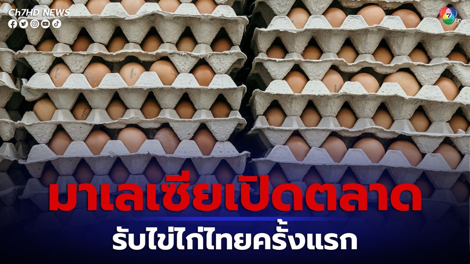 กรมปศุสัตว์ เผย มาเลเซียเปิดตลาดรับไข่ไก่ไทยครั้งแรก