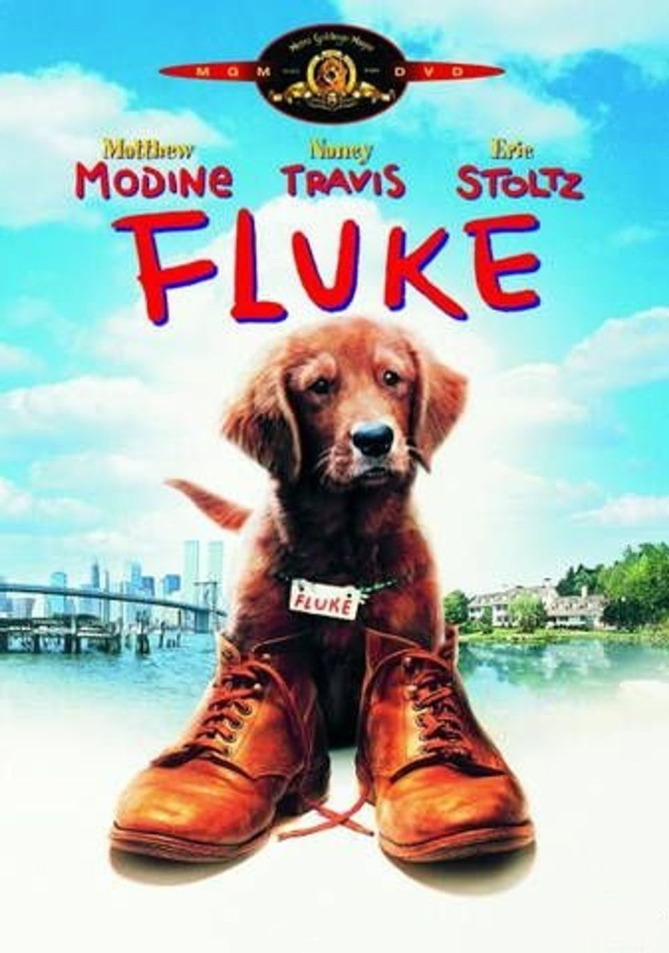 ภาพยนตร์ฝรั่ง “FLUKE เกิดใหม่กลายเป็นหมา” (FLUKE)