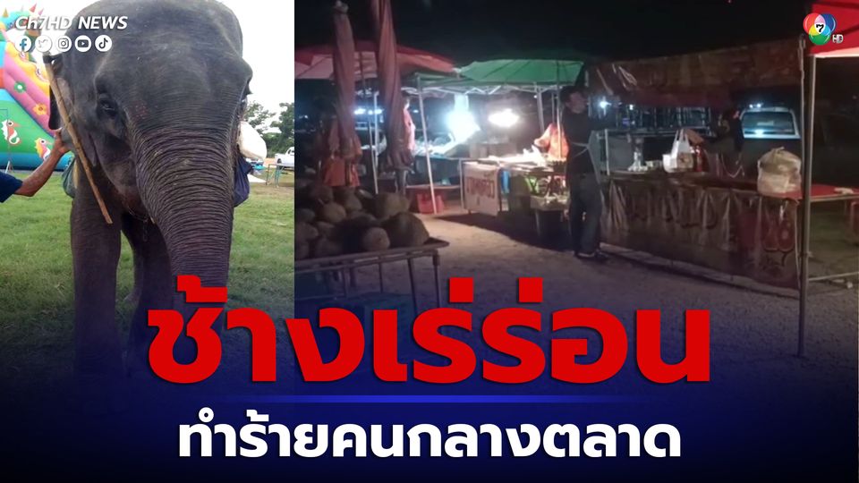 ช้างเร่ร่อนตื่นตกใจ ทำร้ายคนกลางตลาดนัด อาการยังสาหัส