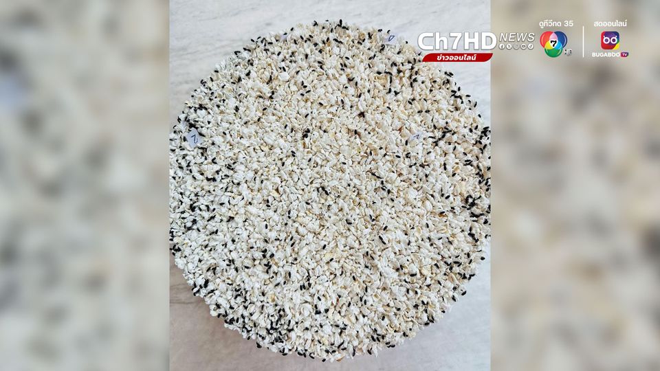 อ๋อมสกาวใจน้องกระดิ่ง 