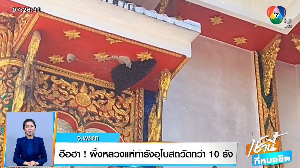 ฮือฮา! ผึ้งหลวงแห่ทำรังอุโบสถวัดกว่า 10 รัง