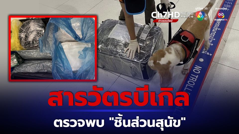 สารวัตรบีเกิล ตรวจพบชิ้นส่วนสุนัข ในกระเป๋าของผู้โดยสารที่เดินทางมาจากเวียดนาม