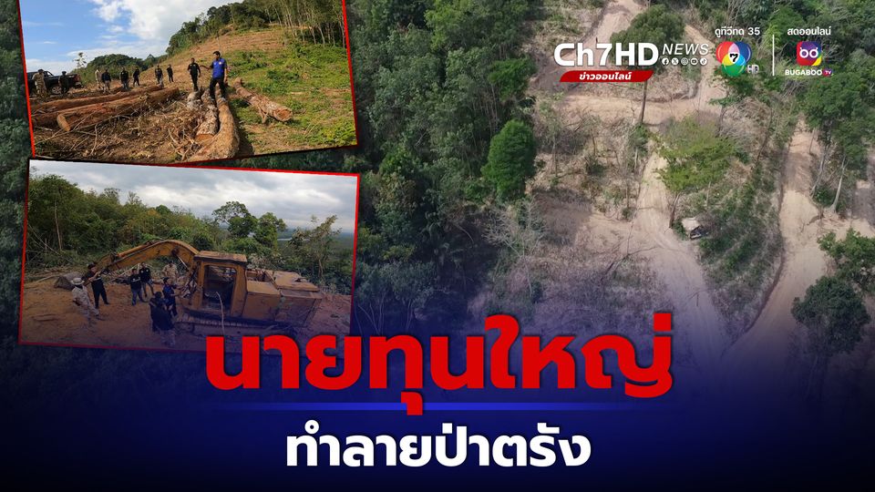 ตรัง เจอนายทุนบุกรุกป่าสงวน แผ้วถางป่าท่าโต๊ะแซะ ทำลายป่าต้นน้ำ