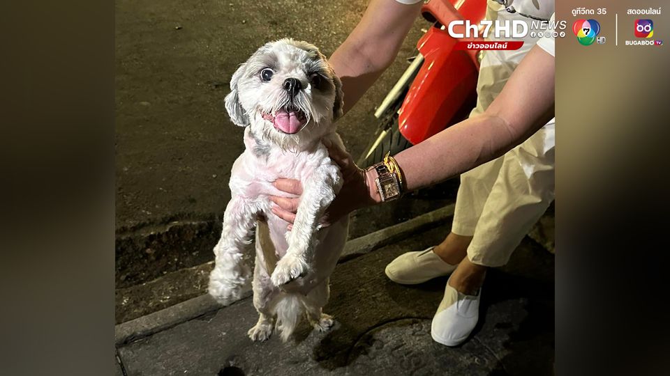 ตามหาเจ้าของ