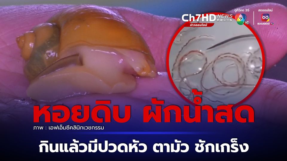 พยาธิปอดหนู สาเหตุของโรคเยื่อหุ้มสมองอักเสบ