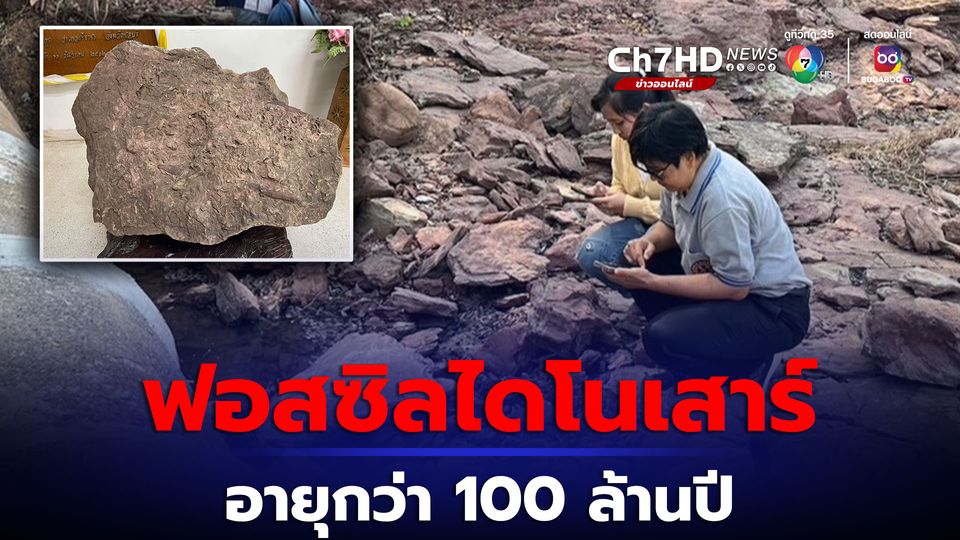 ขอนแก่นเจอฟอสซิลไดโนเสาร์ อายุกว่า 100 ล้านปี
