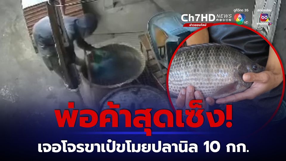 โจรขาเป๋สุดแสบย่องขโมยปลานิลในตลาดสด  พ่อค้าหนุ่มสุดช้ำโดนมา 4 รอบแล้ว