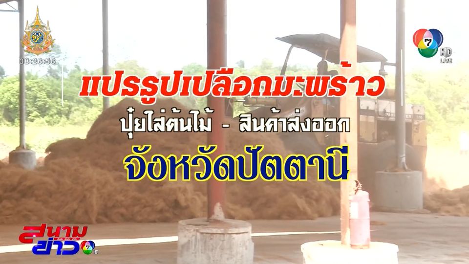 ปักหมุดของดีทั่วไทย : แปรรูปเปลือกมะพร้าวเหลือทิ้ง เป็นปุ๋ยและเส้นใย สู่สินค้าส่งออกชายแดนใต้ จ.ปัตตานี