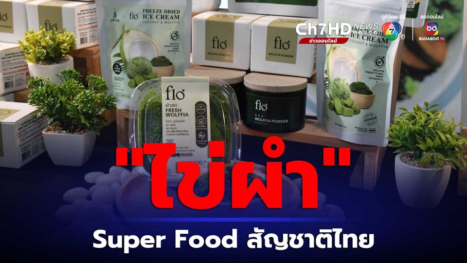 ไข่ผำ ซูเปอร์ฟูดสัญชาติไทย ผลักดันไกลสู่เวทีโลก