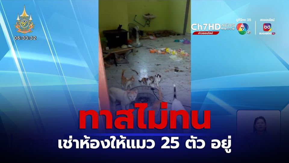 ทาสไม่ทน เช่าห้องให้แมว 25 ตัว อาศัย หลังถูกเจ้าของเก่าทิ้ง