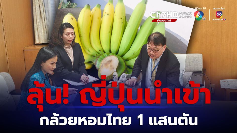 ลุ้น “ญี่ปุ่น” ขยายโควตานำเข้ากล้วยหอมไทย 100,000 ตัน
