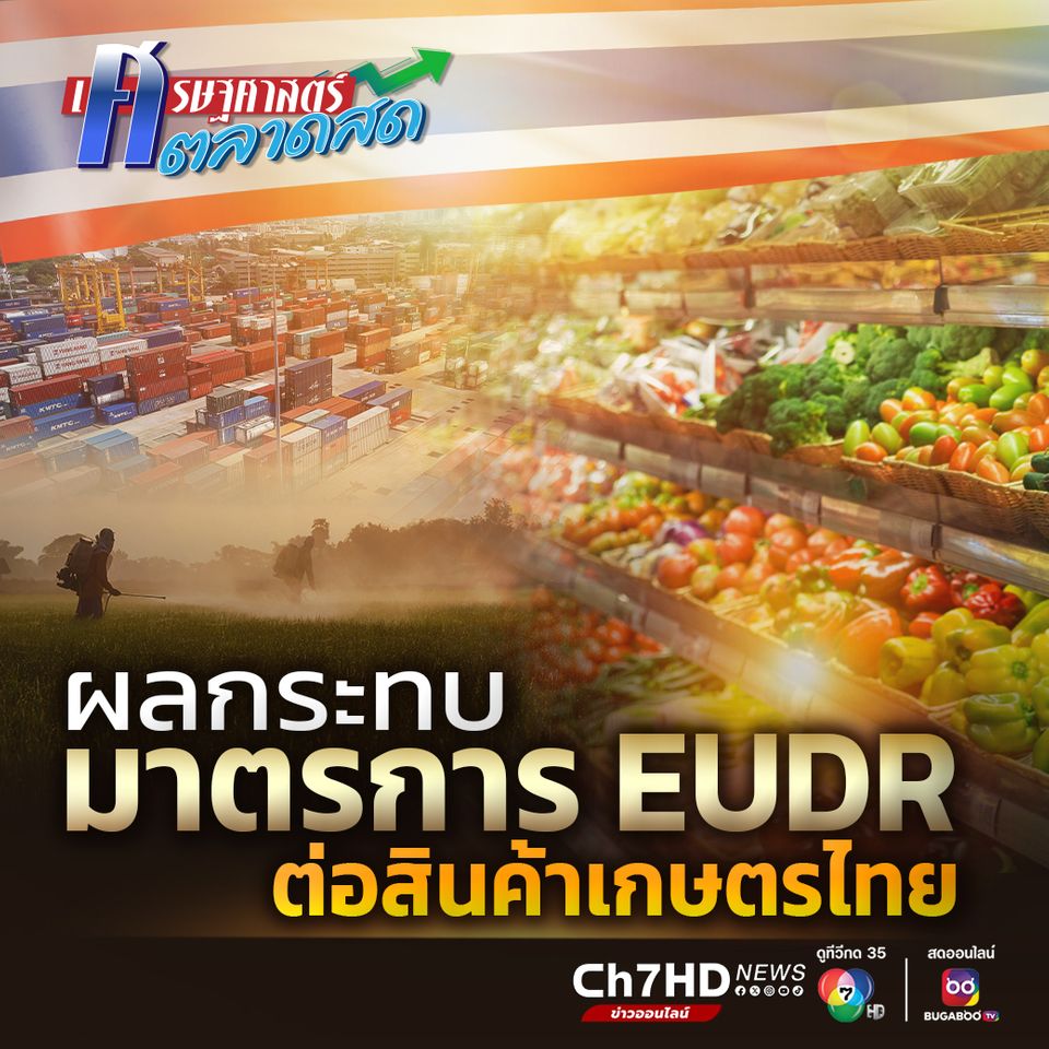 ผลกระทบมาตรการ EUDR ต่อสินค้าเกษตรไทย
