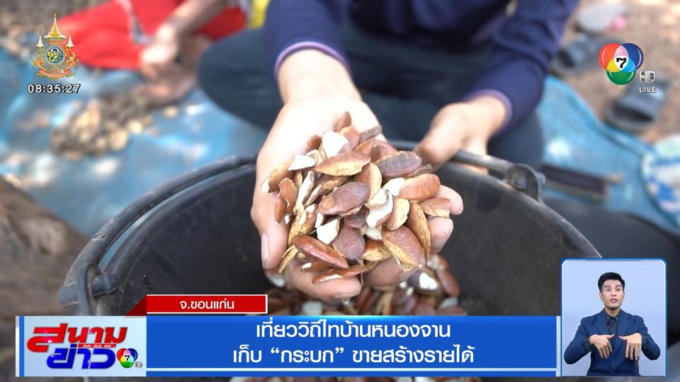 ปักหมุดของดีทั่วไทย : เที่ยววิถีไทบ้านหนองจาน เก็บกระบกขายสร้างรายได้ จ.ขอนแก่น