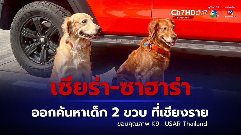 เซียร่า และซาฮาร่า 2 สุนัขกู้ภัย สมาชิกทีม USAR Thailand ถึงเชียงราย เริ่มปฏิบัติการค้นหาเด็ก 2 ขวบ