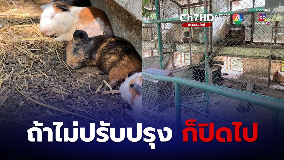 หดหู่สวนสัตว์ลพบุรี "กัญจนา" ประสานกรมอุทยานฯ-ปศุสัตว์ ช่วย
