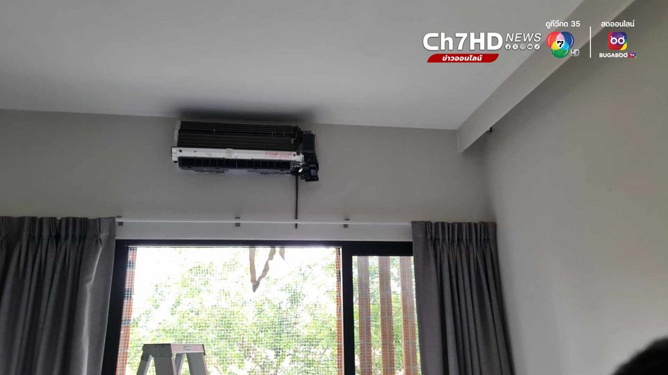 งูเขียวพระอินทร์