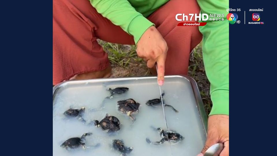 วุ้นอึ้ง