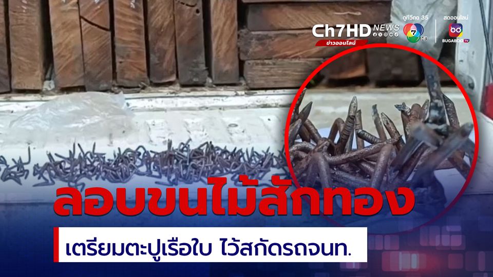 รวบ 2 ผู้ต้องหา ขับรถตู้ทึบรับจ้างขนไม้สักทองแปรรูป 77 แผ่น