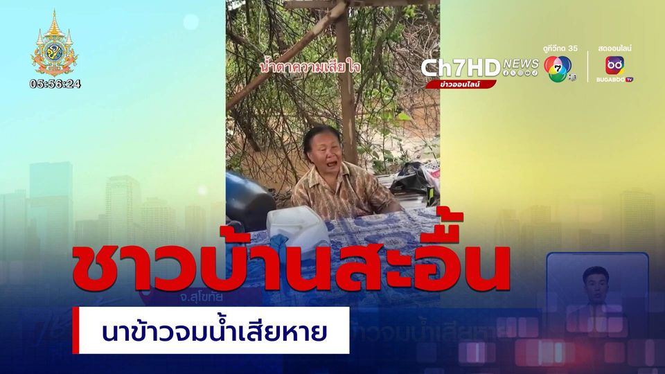 ชาวบ้านสะอื้น นาข้าวจมน้ำเสียหาย