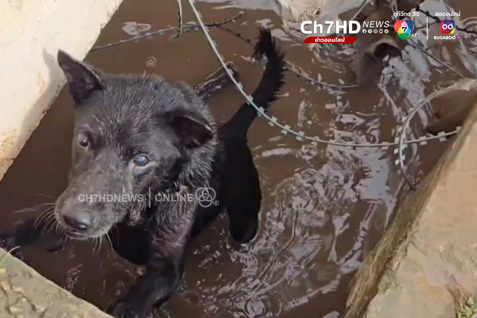 ตลาดริมเมย