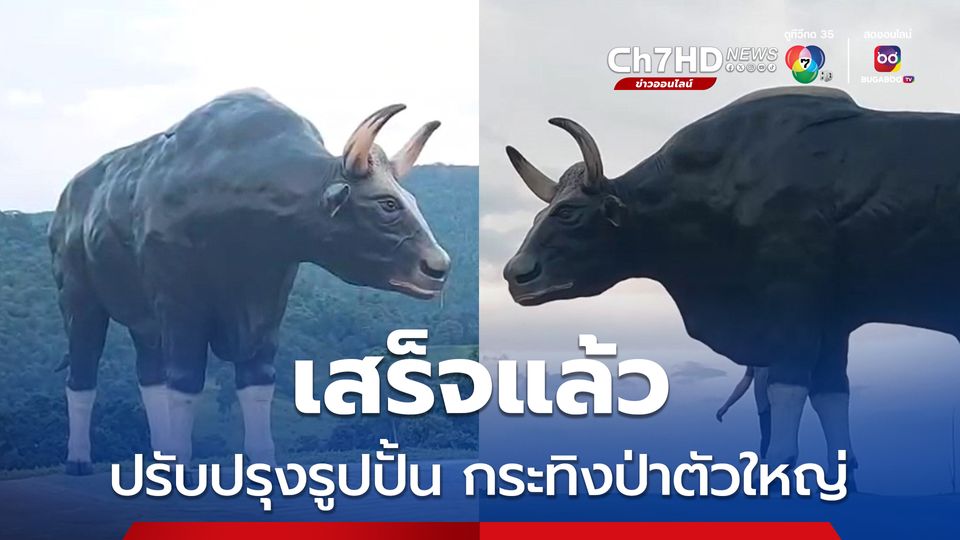 เขตห้ามล่าสัตว์ป่าเขาแผงม้า ปรับปรุงรูปปั้น กระทิงป่าตัวใหญ่ เสร็จสมบูรณ์แล้ว