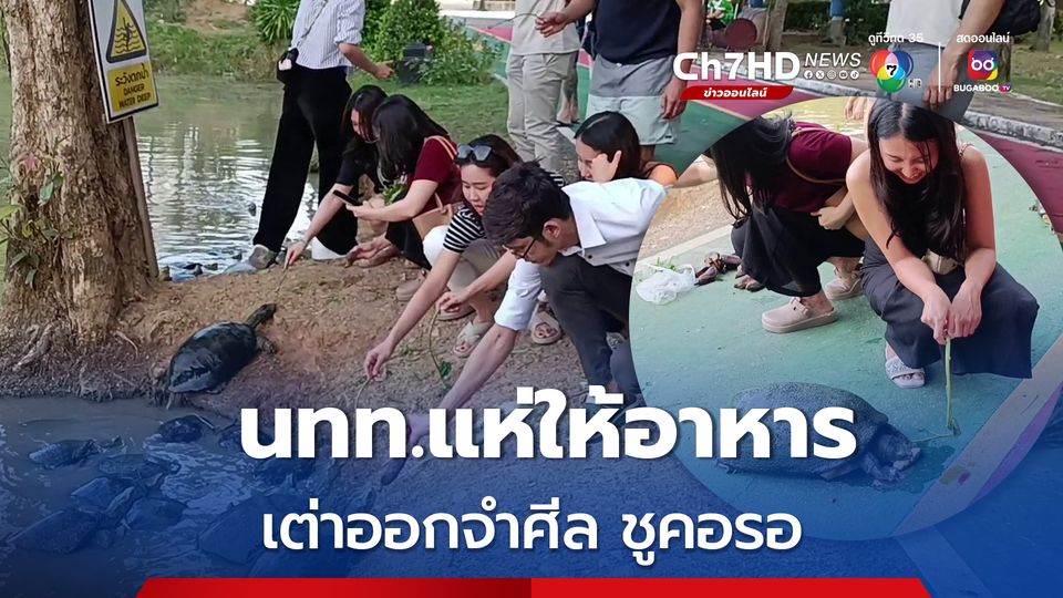 นทท.แห่ให้อาหาร เต่าออกจำศีล ชูคอรอ