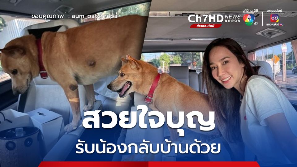 สวยใจบุญ 'อั้ม พัชราภา' เจอน้องหมาแถวบ้าน รับขึ้นรถหรูกลับบ้านด้วย