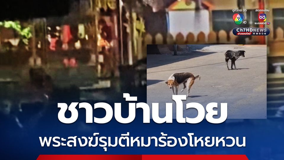 ชาวบ้านโวย พบพระสงฆ์ถือไม้ตีหมาจนร้องโหยหวน