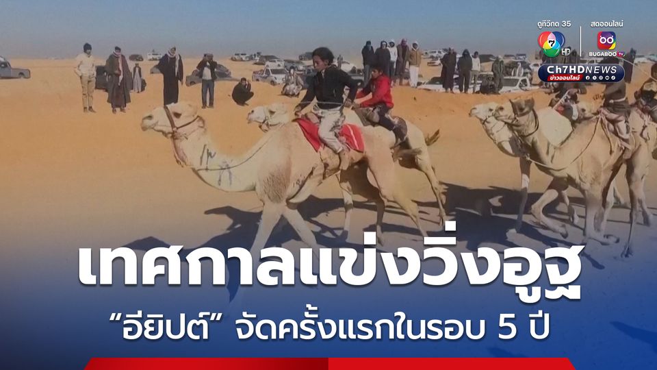 อียิปต์จัด “เทศกาลแข่งวิ่งอูฐ” ครั้งแรกในรอบ 5 ปี