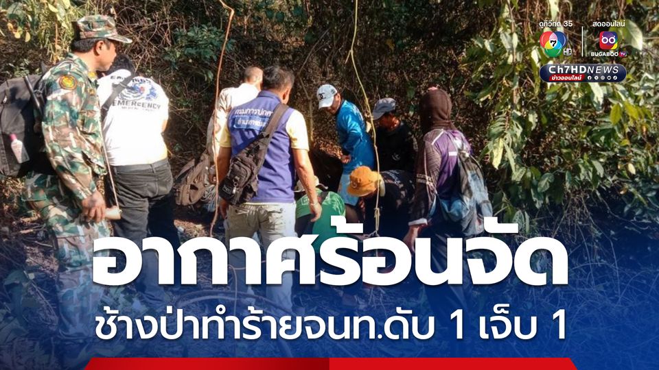 ช้างป่าทำร้ายเจ้าหน้าที่ป่าไม้ เสียชีวิต 1 บาดเจ็บ 1