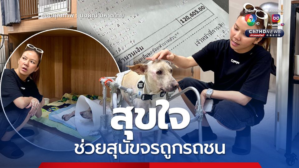 'จ๊ะ นงผณี' สุขใจช่วย 'น้องรับทรัพย์' สุนัขจรถูกรถชน ค่ารักษา 1.2 แสน