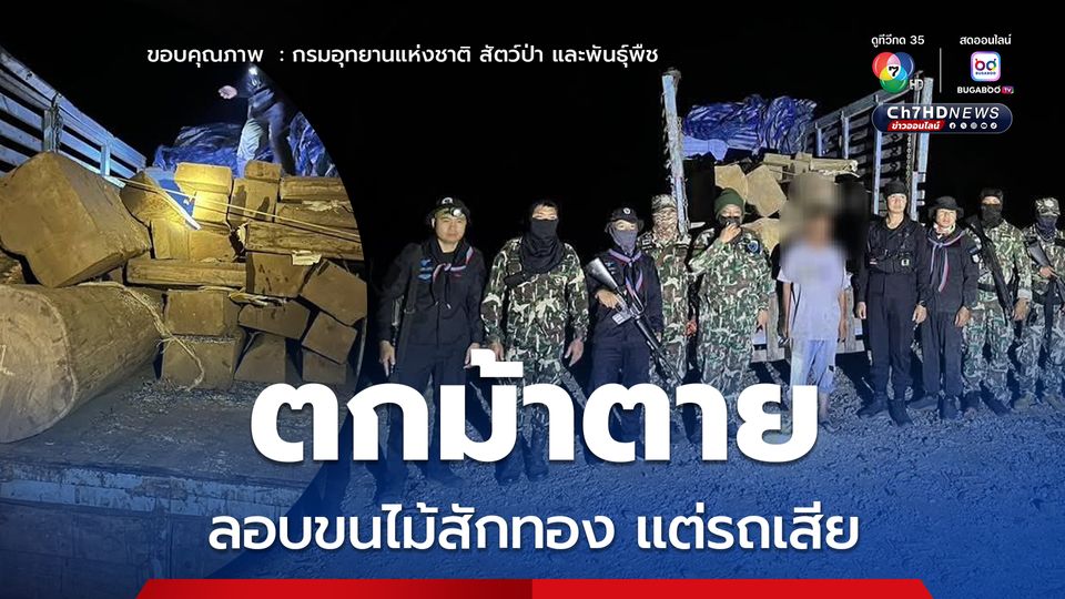 รถเสียระหว่างลอบขนไม้สักทอง ชุดลาดตระเวนดับไฟป่าเจอพอดี รวบทันควันส่งดำเนินคดี