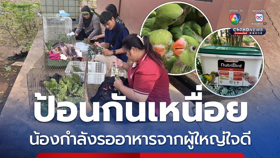 ของกลางเป็นลูกนกวัยอ่อน ศูนย์ช่วยเหลือสัตว์ป่าฯ ขอรับบริจาคอาหารลูกนก