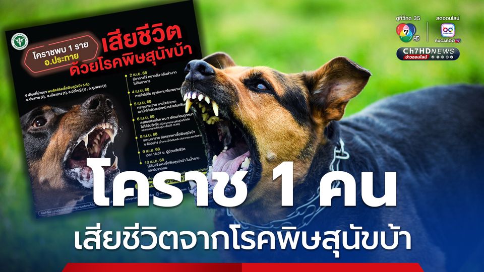 โคราช 1 ราย  เสียชีวิตจากโรคพิษสุนัขบ้า