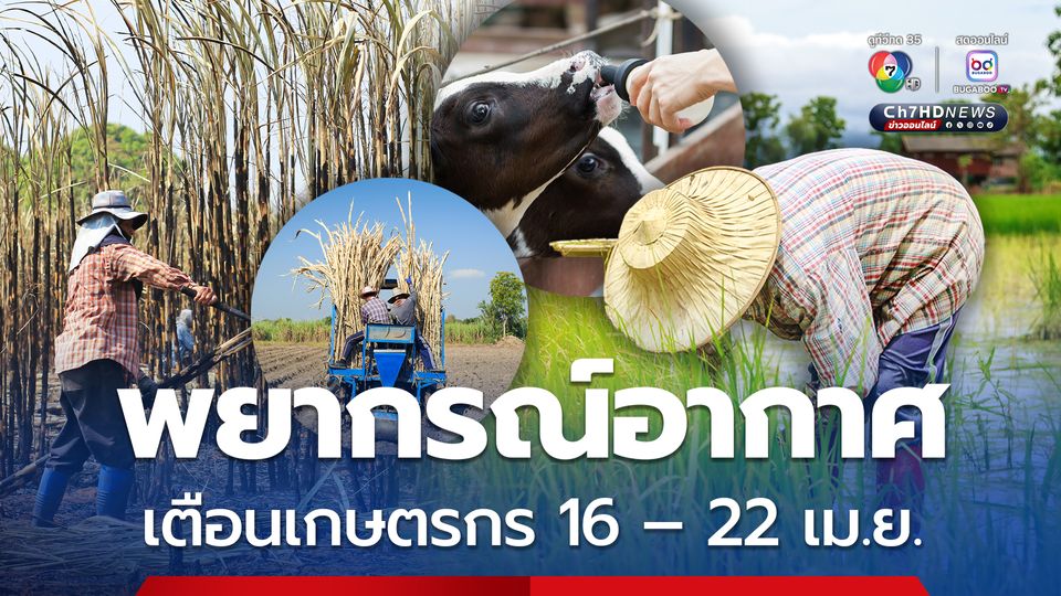 พยากรณ์อากาศเพื่อการเกษตร 7 วันข้างหน้า