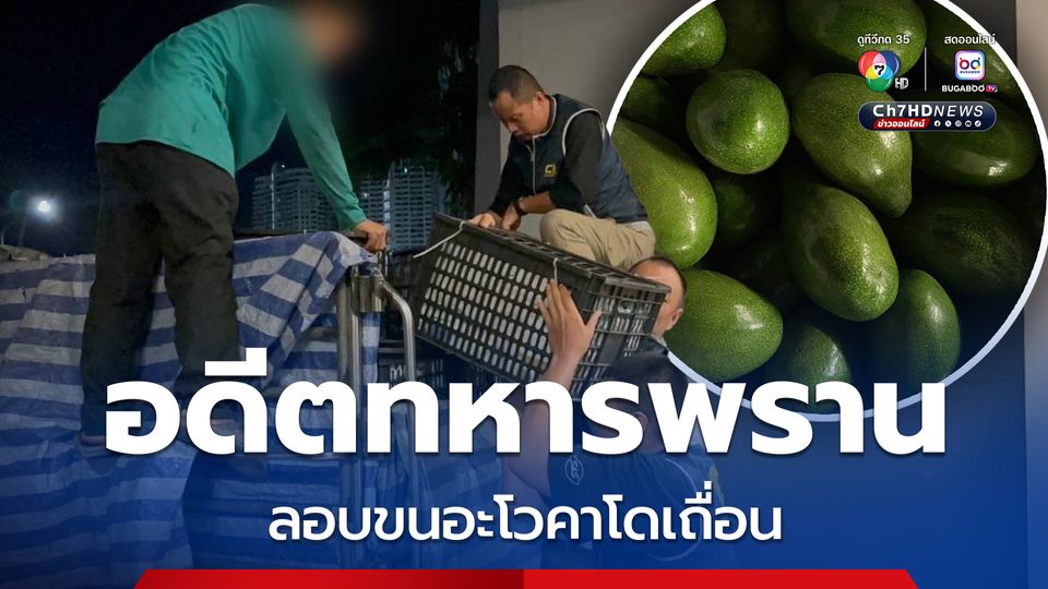 รวบอดีตทหารพรานลักลอบขนอะโวคาโดเถื่อน มูลค่ากว่า 300,000 บาท