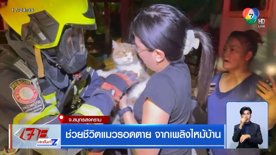 ช่วยชีวิตแมวรอดตาย จากเพลิงไหม้บ้าน