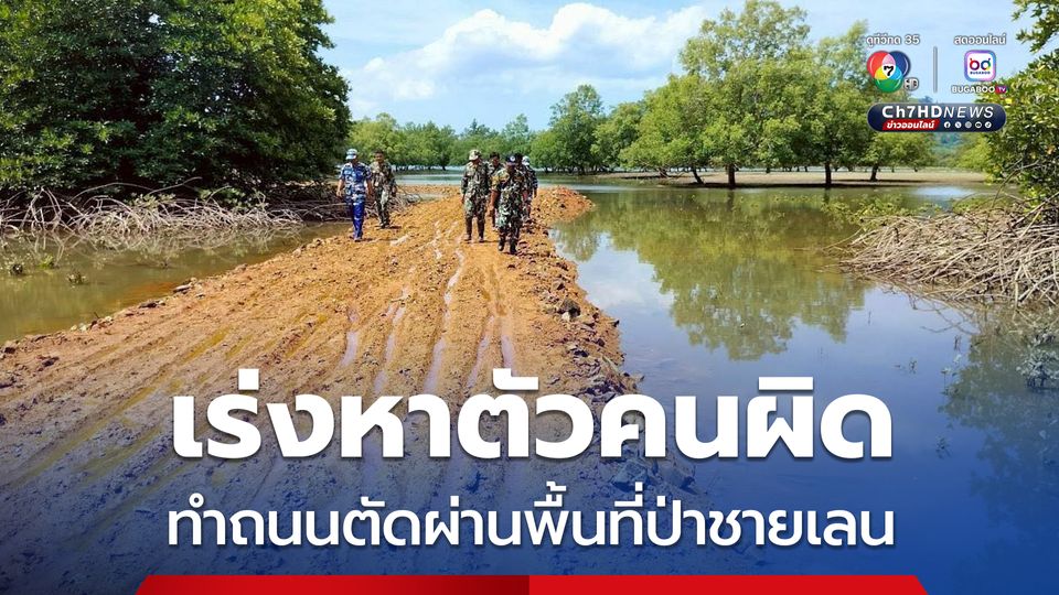 เร่งหาตัวคนผิด ! บุกรุกถมดินทำถนนตัดผ่านพื้นที่ป่าชายเลน จ.ระนอง