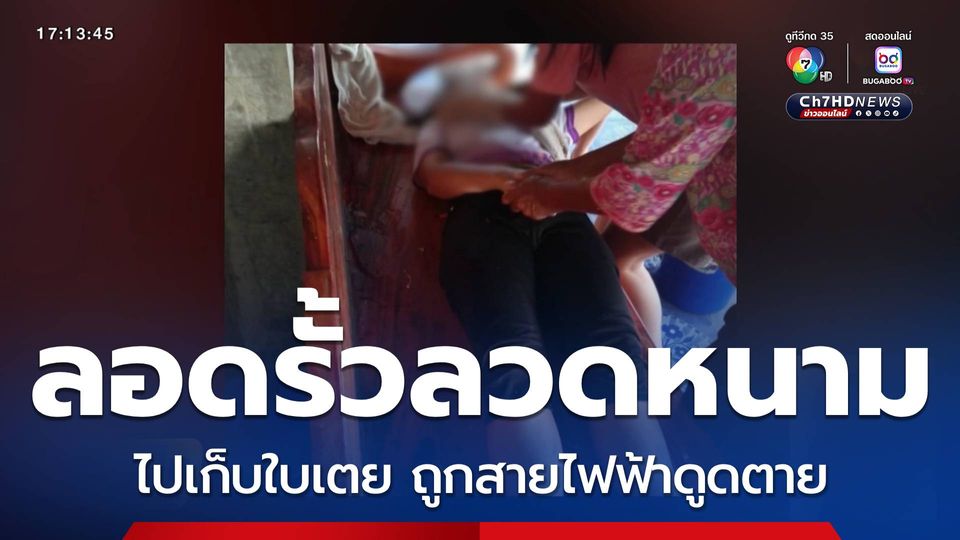 ลอดรั้วลวดหนามเก็บใบเตย ถูกสายไฟฟ้าดูดตาย